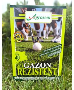 Seminte Gazon REZISTENT - 1 KG, 