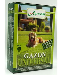 Seminte Gazon Universal, 1 kg., 