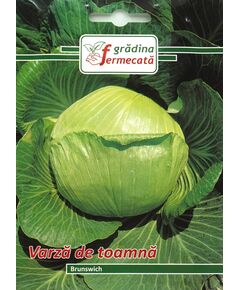 Seminte Varza de Toamna BRUNSWICK, GRADINA FERMECATA, 3 GR, 