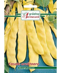 Seminte Fasole Urcatoare MERAVIGLIA DI VENEZIA, GRADINA FERMECATA, 6 GR, 