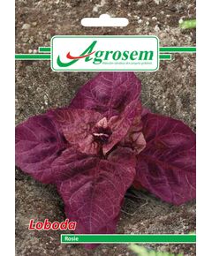 Seminte LOBODA ROSIE 1 gr, 