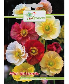 Seminte Flori Mac Decorativ 1 gr, 