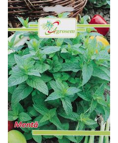 Seminte Menta 0.1 gr., 