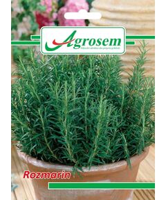 Seminte Rozmarin 0.05 gr., 