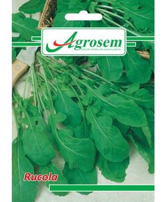 Seminte Rucola 7 gr., 