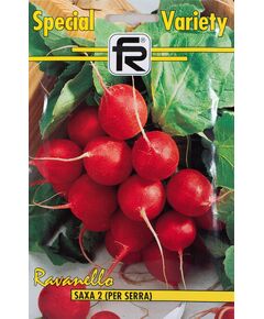 Seminte ridichi SAXA 2 F1, 