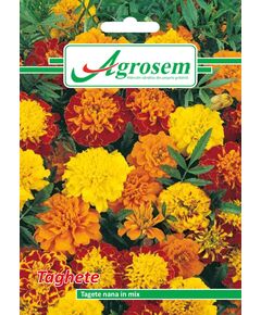 Seminte Flori TAGHETE NANA MIX 1 gr, 