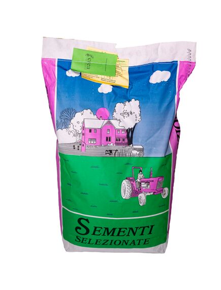 Seminte IARBĂ DE COASĂ 10 KG., 