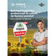 Seminte Floarea Soarelui P64LE162, Pioneer, EXPRESS – Sac 150.000 seminte, , 2 image